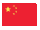Chinese Version